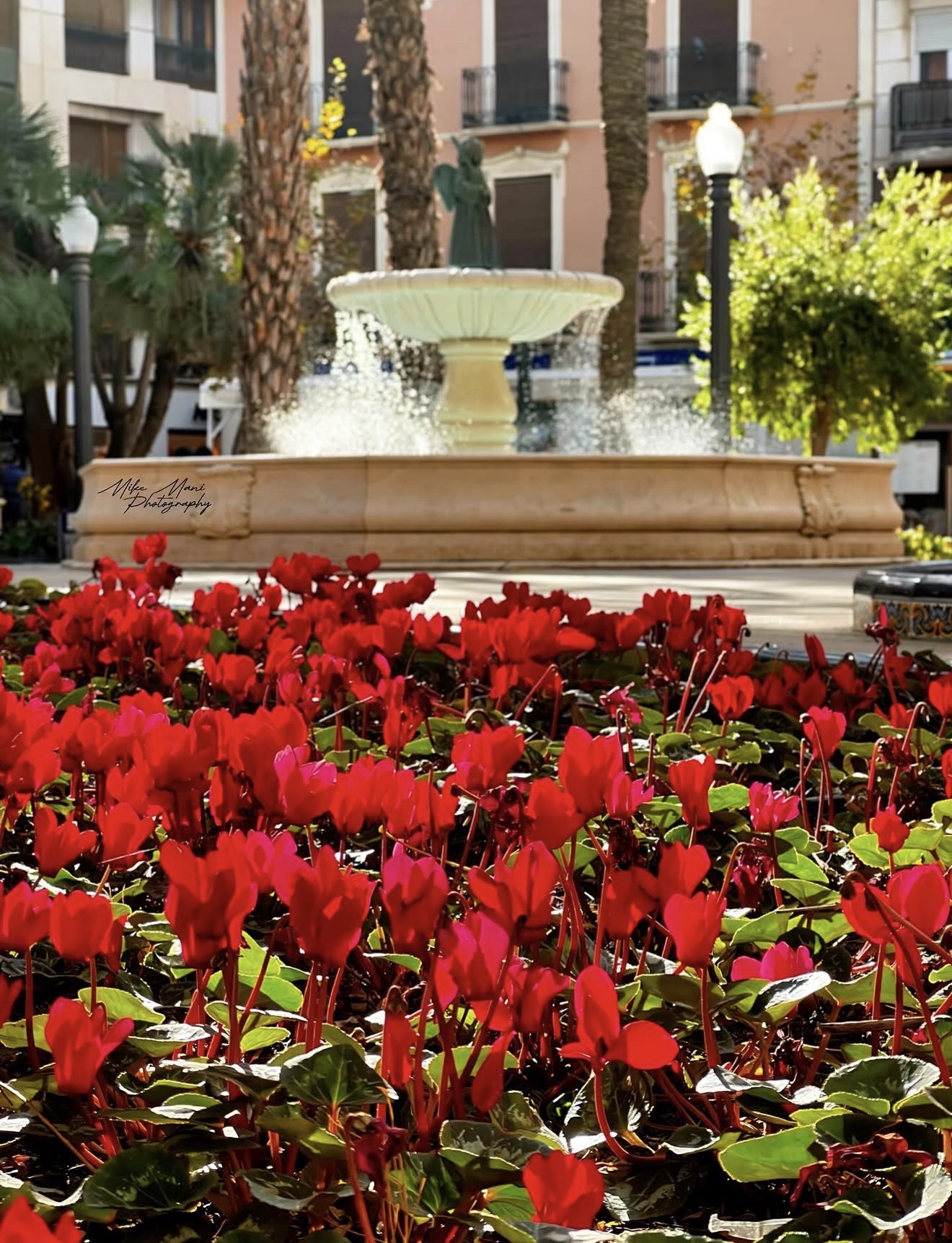 Glorieta de elche en Elche