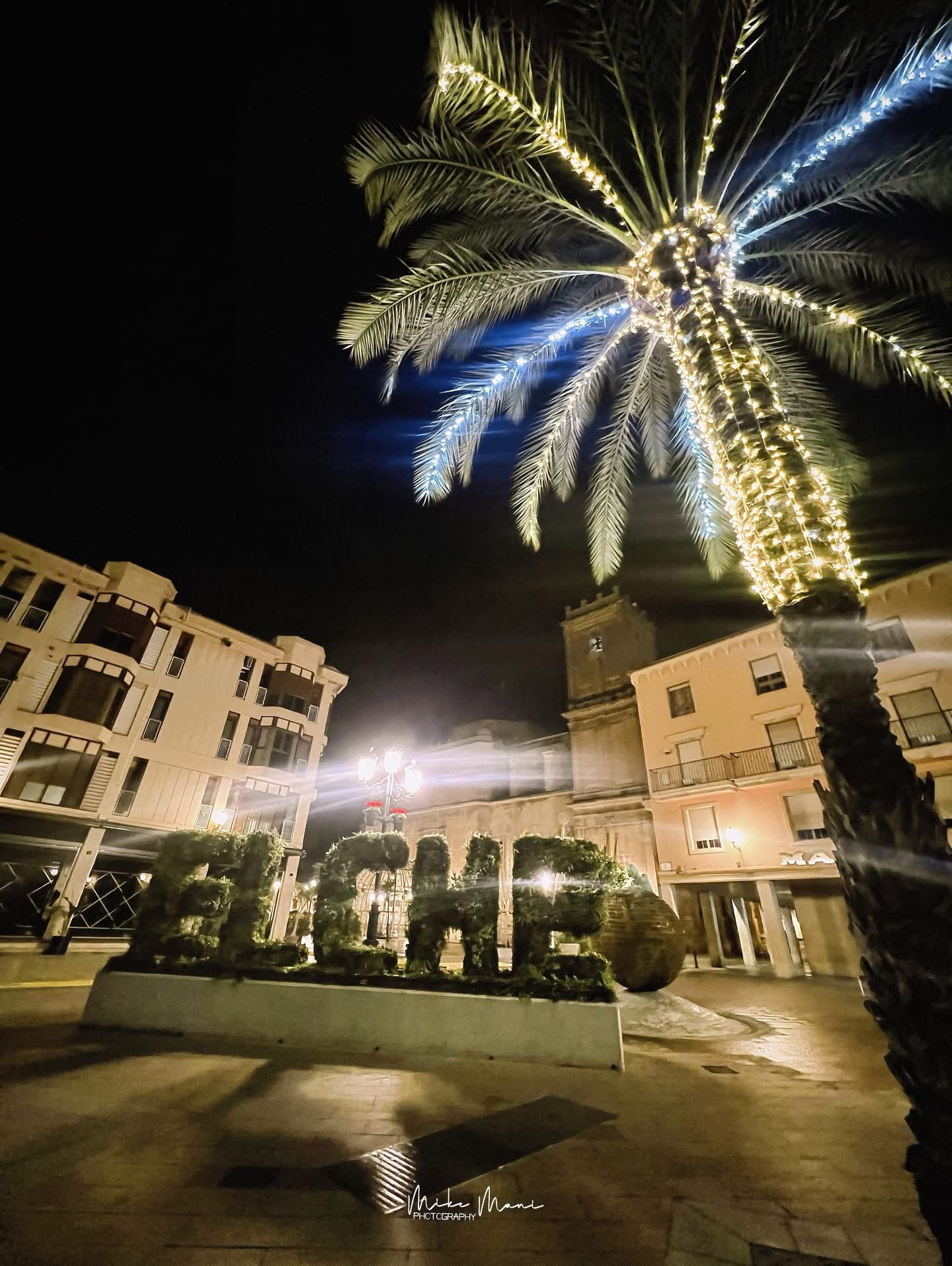 Navidades en elche en Elche