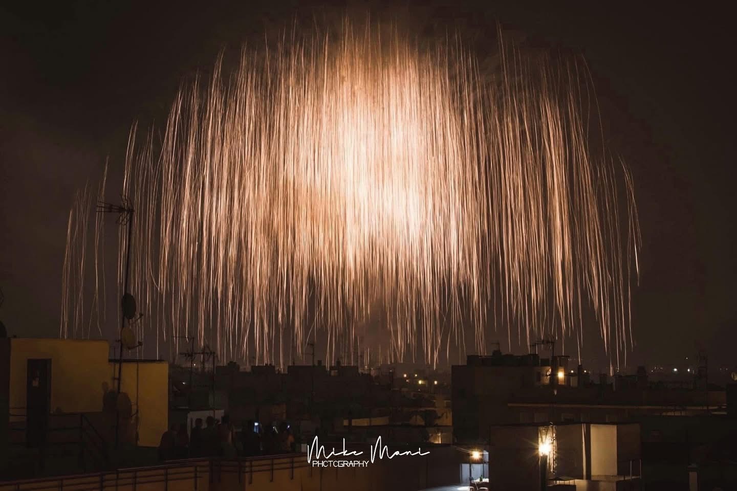 Palmera de la virgen en Elche